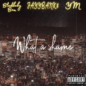 What a shame (Explicit)