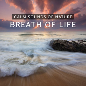 Calm Sounds of Nature - Breath of Life, Relax, Positive Energy and Free Mind