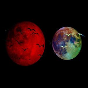 Secured It (Explicit)