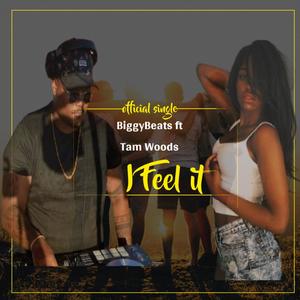 I Feel It (feat. Tam Woods)