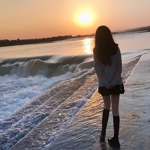 沈园外 (DJ承耀Remix remix)