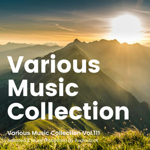 Various Music Collection Vol.111 -Selected & Music-Published by Audiostock-