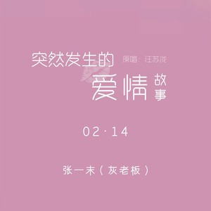 突然发生的爱情故事封面