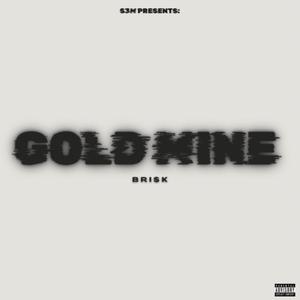 Gold Mine (feat. Bri$k) (Explicit)