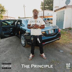 The Principle (Explicit)