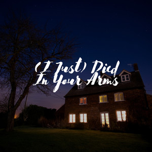 (I Just) Died In Your Arms