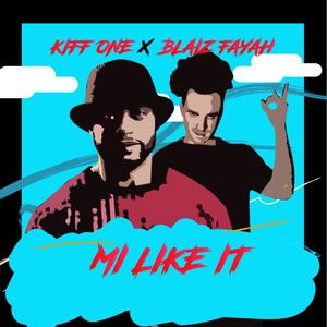 Mi Like It(feat. Blaiz Fayah)