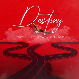 Destiny(feat. Tracy D)