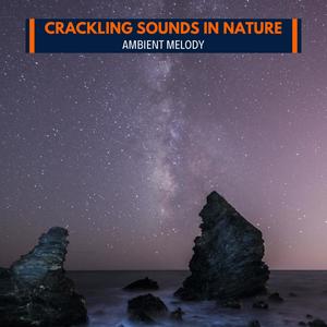 Crackling Sounds in Nature - Ambient Melody