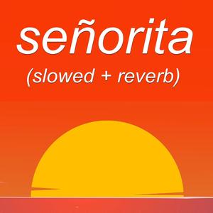 señorita (slowed + reverb)