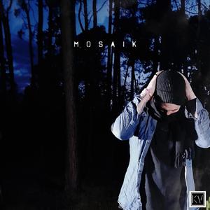 Mosaik (Explicit)