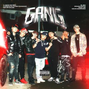 Gang(feat. Drakomafia, Llegale Al Flow Chamako, Raw-Lee, Kevin Idarraga, DBS & EL BAI) (Explicit)