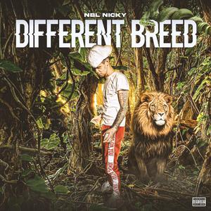 Different Breed (Explicit)