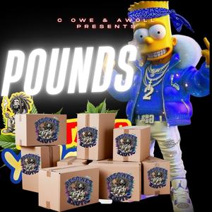 Dem Pounds (feat. Awoll) (Explicit)