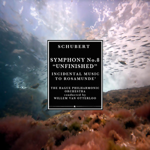 Symphony No. 8 in B Minor, D. 769 