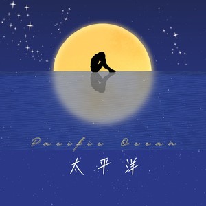 太平洋边 (DJ版)