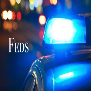 FEDS (Explicit)