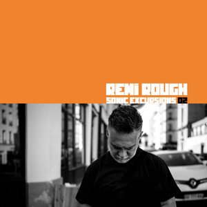 Remi Rough - The academic review