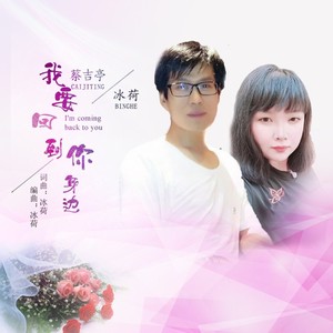 我要回到你身旁 (DJ版)