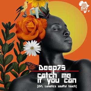Catch Me If You Can (Soulful Touch|ZVL Lunatics Remix)