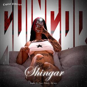 Shingar (feat. Dj Aciz, Kaelee G, Priince & Yaya)