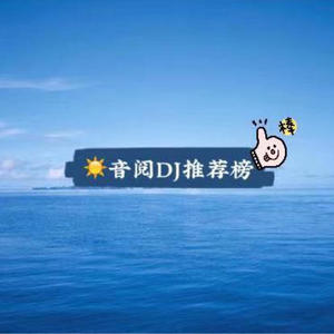 是我太傻封面