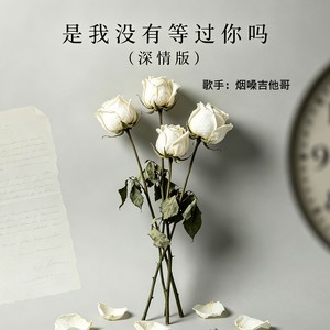 是我没有等过你吗 (深情版)封面