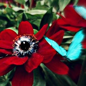 Afterparty Deeptalks (Explicit)