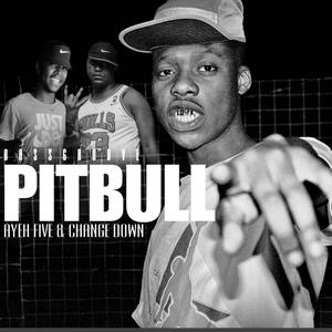 Pitbull II (feat. Ayefive, Change Down & Dj sketch|Bassgroove)