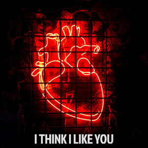 I Think I Like You (Original Mix)