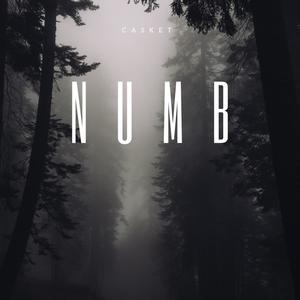 Numb (Explicit)