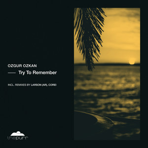 Try to Remember (Larson AR Remix)