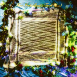 Too Late (feat. Troi Zee) (Radio Edit)