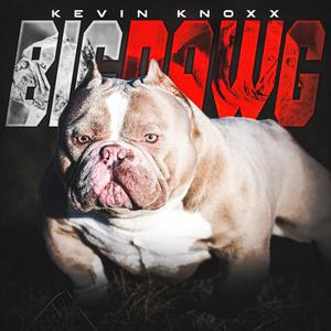 BIG DAWG