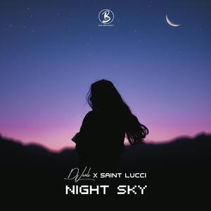 Night Sky (feat. Saint Lucci)