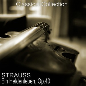 Ein Heldenleben, Op. 40 - No. 1, Der Held