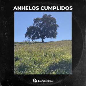 Anhelos Cumplidos