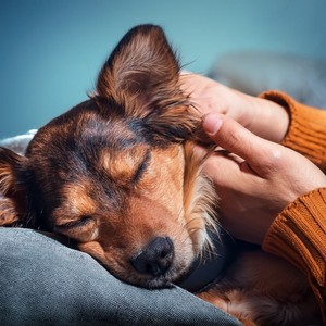 Acogedora Noche De Piel Cálida.