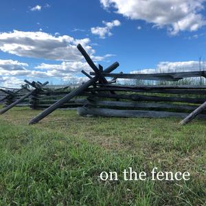 On the Fence