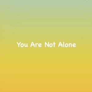 You Are Not Alone (feat. Vung Hoih)