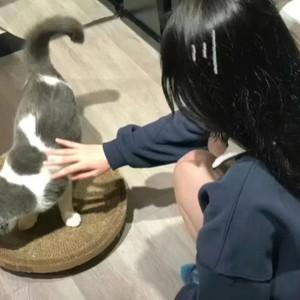 蠢货