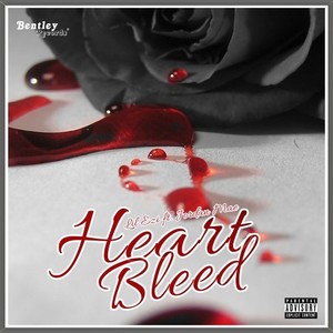 Heart Bleed (Explicit)