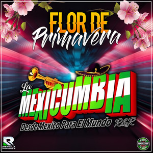 Flor de Primavera