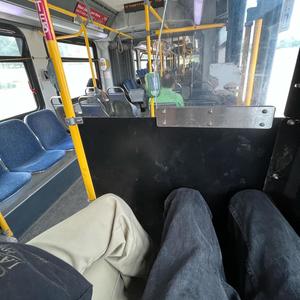 impossible (feat. faun)