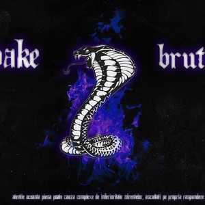 Lectie De Rap(feat. Dake) (Explicit)