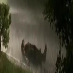 I'd Rather Fade Away (Explicit)