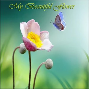 My Beautiful Flower