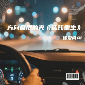 方向盘后的光《佳玮重生》