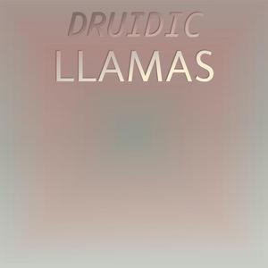 Druidic Llamas