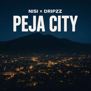 Peja City (feat. Dripzz) (Explicit)